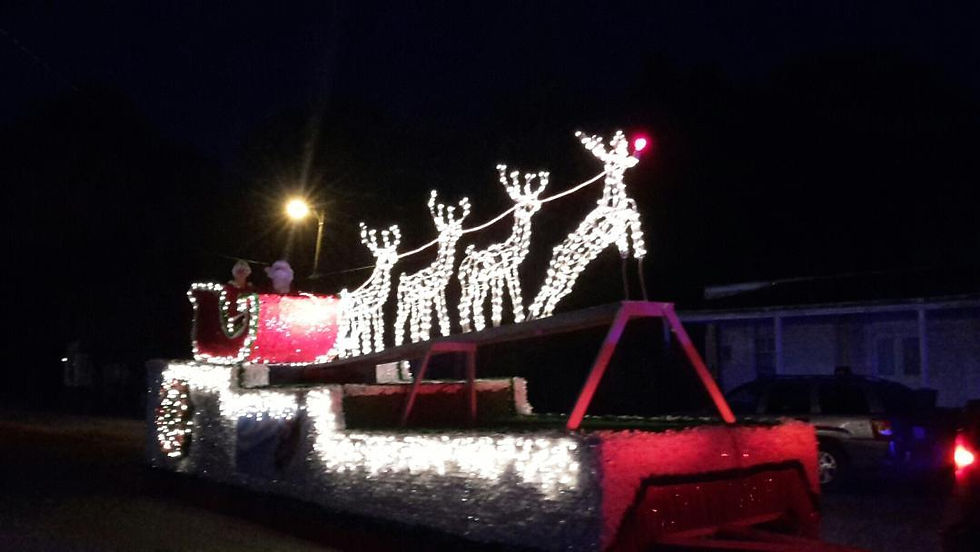 Reindeer in Flight