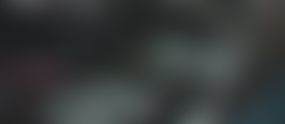 Mountain Brook, AL - Lauren Ann Holbrook Killed in Car Crash on HWY 280 E and Sterlingwood Dr