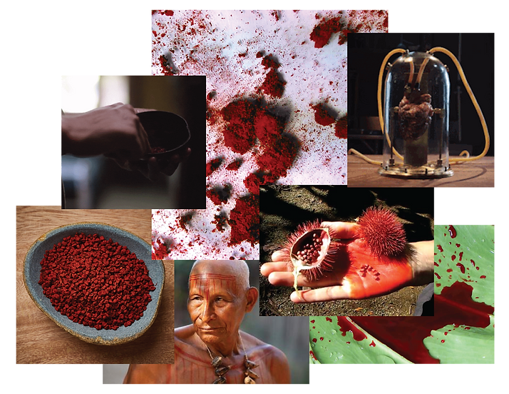 FRONTERA VERDE FINAL-03.png