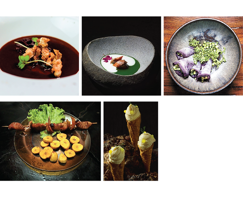 menu-14.png