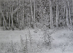 Поляна_____32 х 45__2012 г..jpg