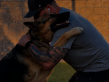 Recap of Zeus's vacation at Reliable Paws Pet Care.