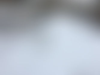 Quiet winter 