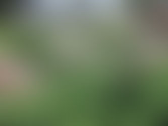 Toronto District School Board Food and Grounds Tour Review