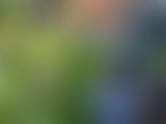 Back to School... Gardens!