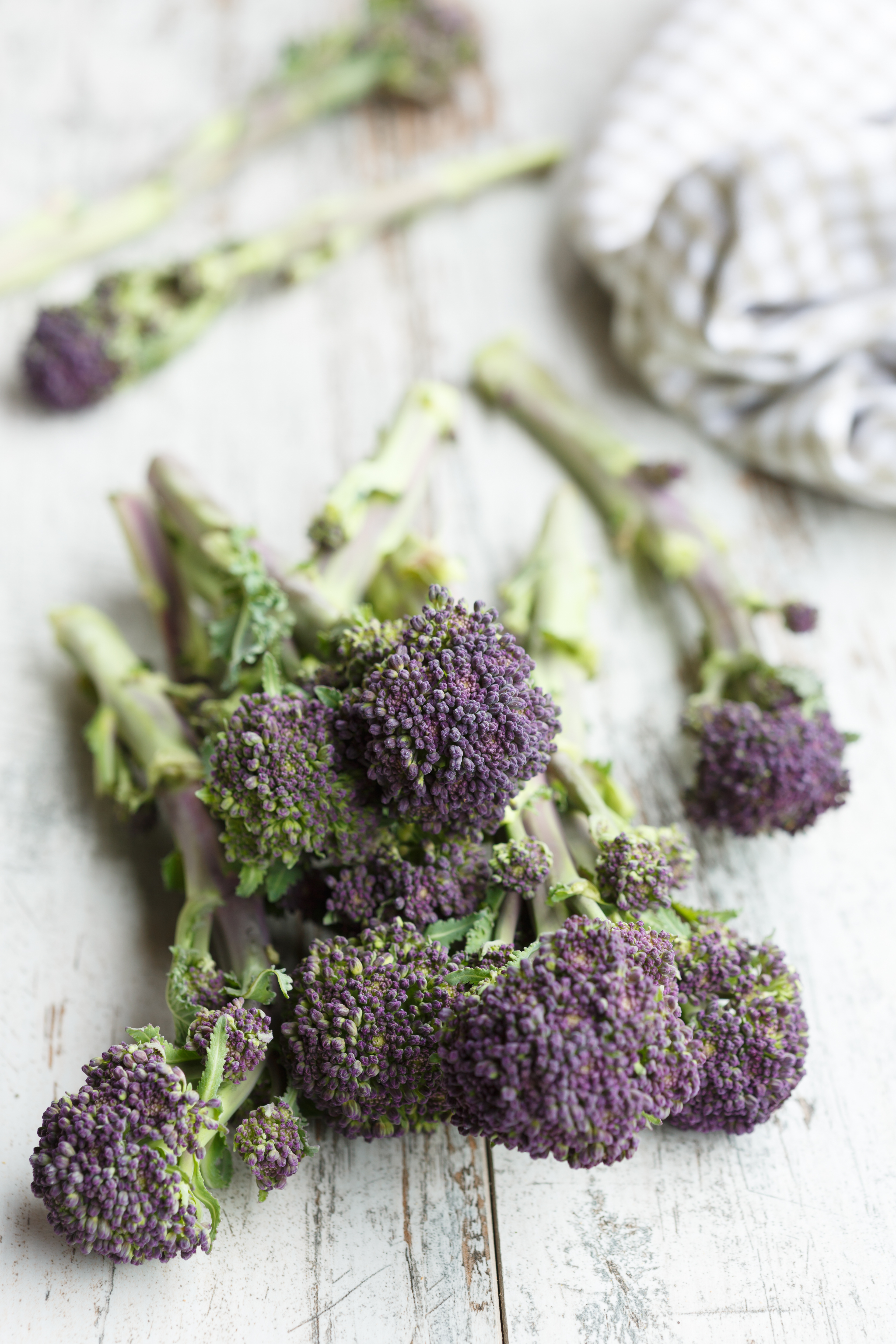 Broccoli Sprouts Купить