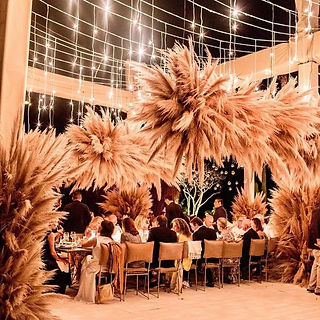 Pampas 2