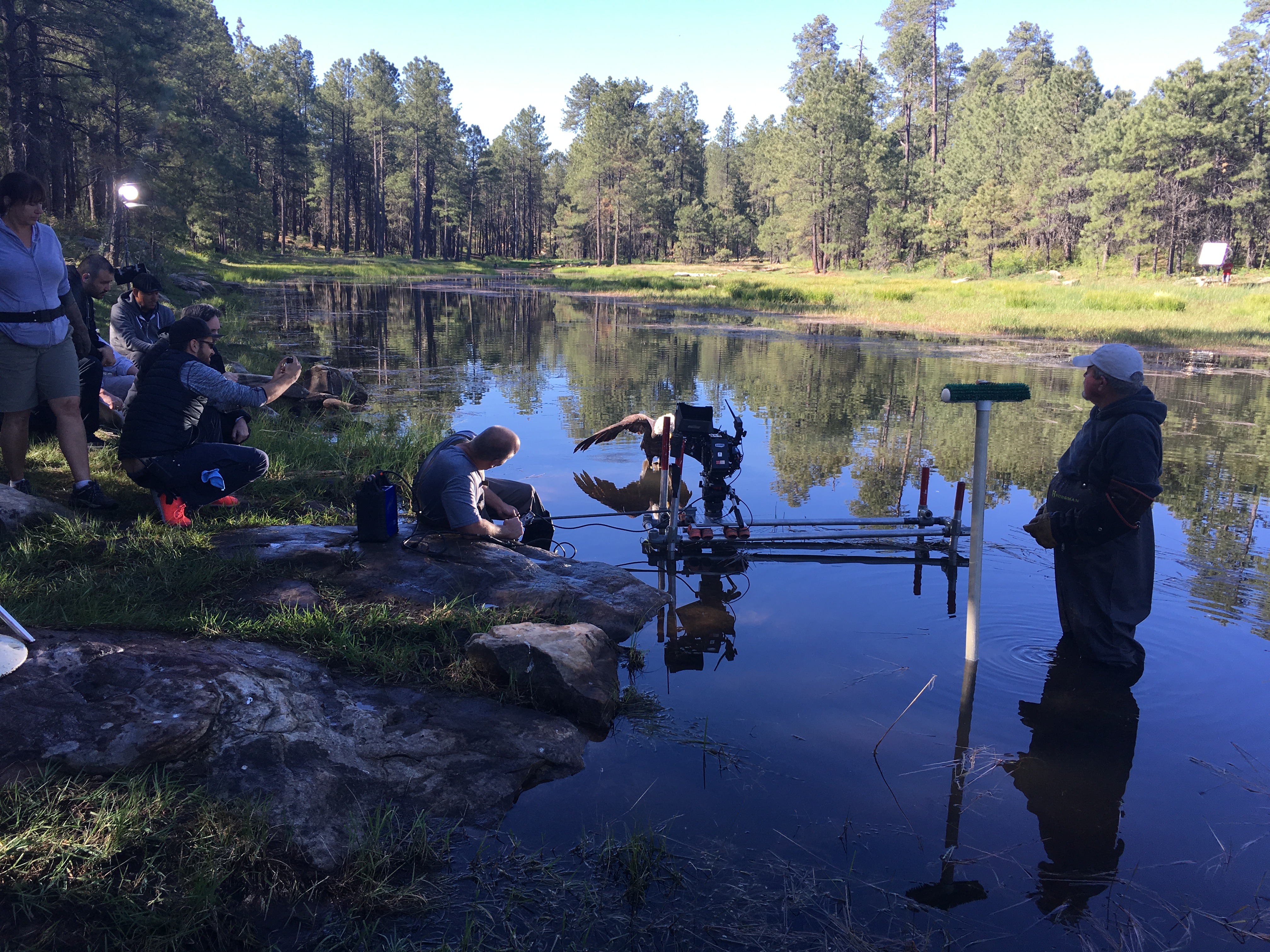 Healthy Forest Shoot