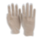 HRay Vinyl Glove Powder-Free 100/Bx