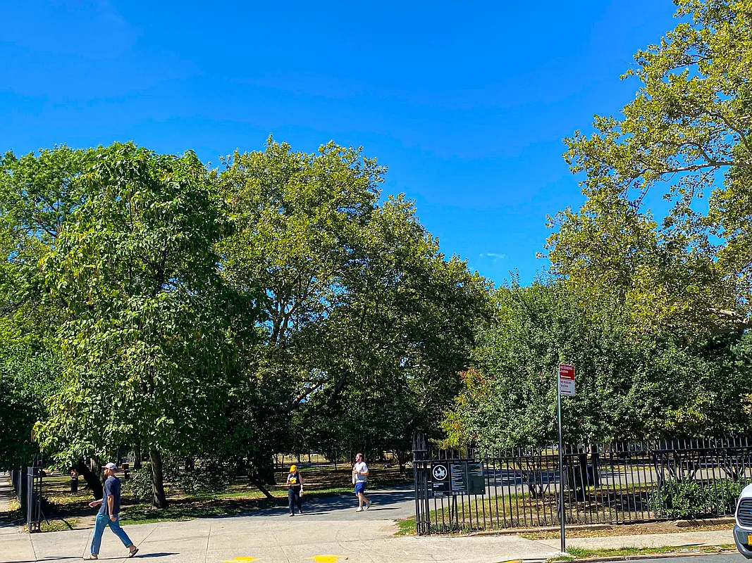 About Us. Greenpoint Brooklyn. McGolrick Park