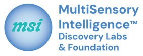 MSI Discovery Labs & Foundation
