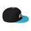 Thumbnail: FIDE Snapback