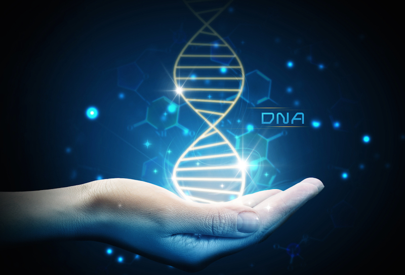 Cos è Il Dna In Parole Semplici