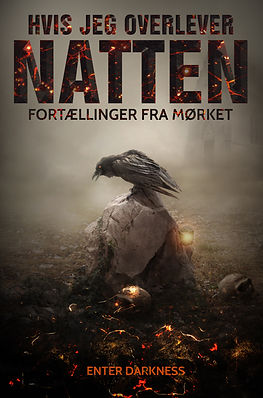 Hvis jeg overlever natten forside