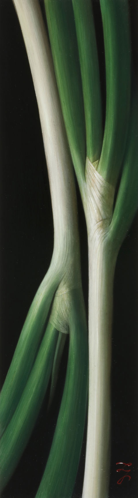 ⑧葱397×110.JPG