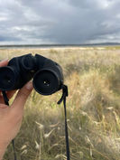 IMG_9240.jpeg