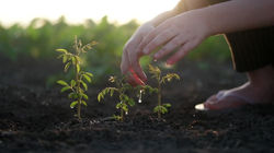 Agriculture