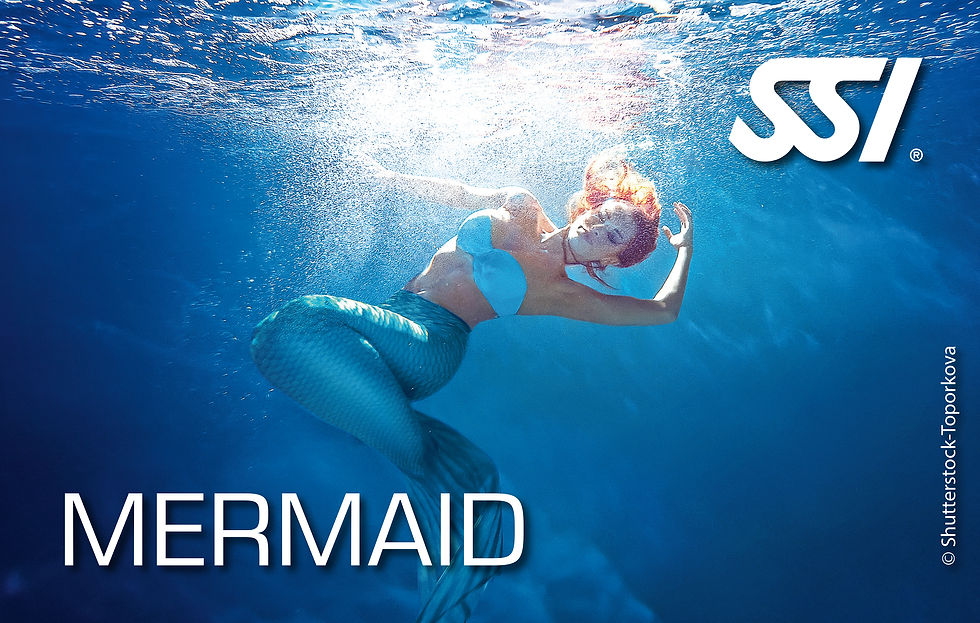 Mermaid