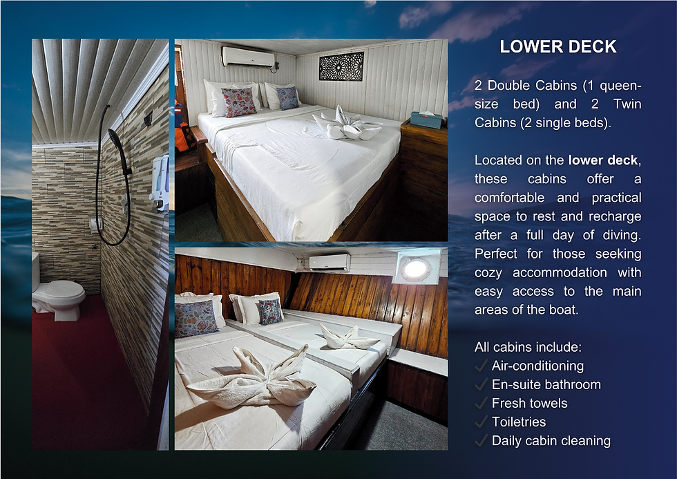 Lower Deck - Double & Twin