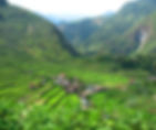 Lush green Banaue Rice Terraces with small village houses scattered throughout, set against misty mountains under a clear sky.