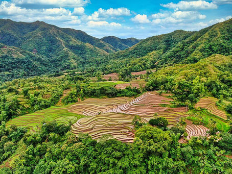Aerial view of Tibiao Rice Terraces a vibrant terraced rice fields in lush green mountains. Blue sky with fluffy clouds adds to the serene landscape.