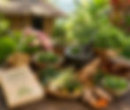 Philippine Medicinal Plants: A Complete Guide to Traditional Herbal Healing in the Philippines