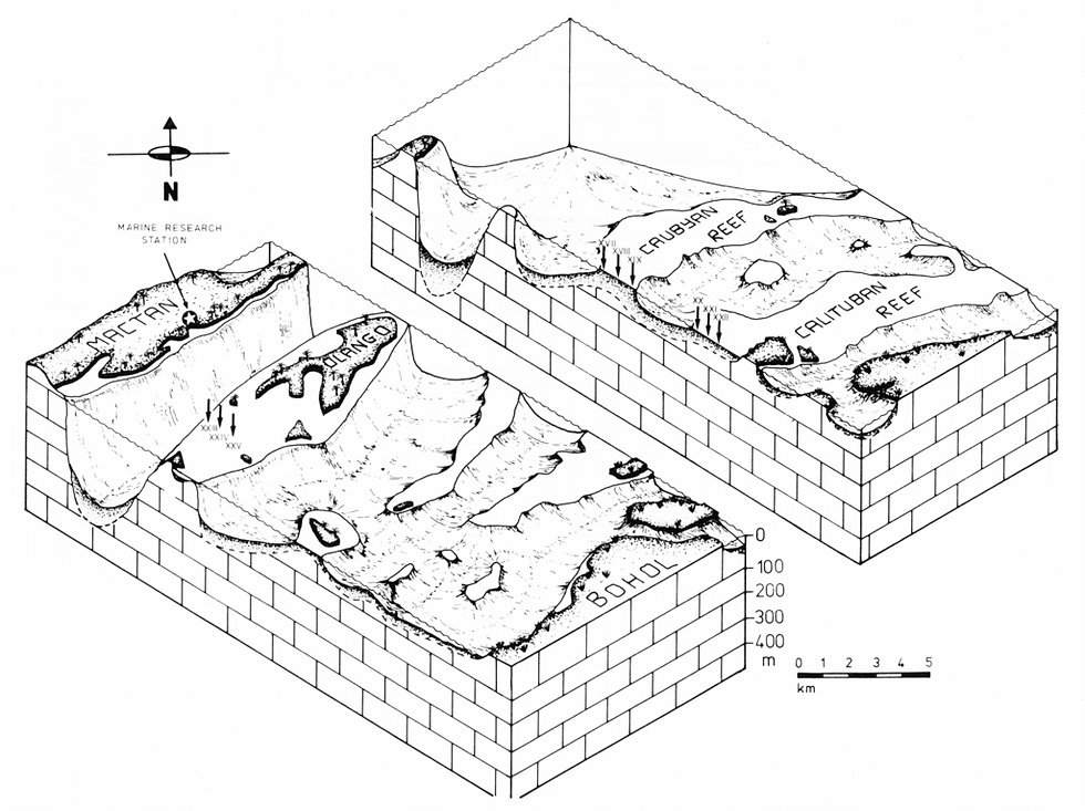 3D map of Mactan, Olango, Caubyan, and Calituban reefs. Includes marine station, compass rose, black-and-white, scale in km and meters.