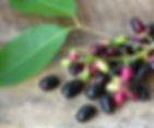 Duhat (Java Plum) a purple and green jamun berries with leaves on rustic wooden surface, showcasing vibrant colors and a natural, fresh mood.