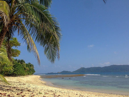 Casapsapan Beach,Casiguran, a tropical beach scene with palm trees, sandy shore, clear blue water, and mountains in the distance. A person wades in the sea. Calm mood.