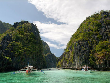 Exploring the Rich Biodiversity of the Philippines: Challenges and Conservation Efforts