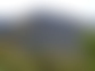 Lush green mountains with a foreground of wildflowers and a gnarled, moss-covered tree. Bright, serene landscape under a clear sky.