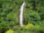 Looking a cascading white-water waterfall surrounded by lush green jungle.