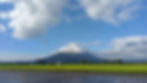 Green rice fields under a bright blue sky with fluffy clouds. A mountain in the background is partially covered by clouds, creating a serene scene.