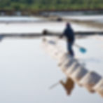 A person harvests salt with a rake in sunny salt flats, surrounded by water and mounds of salt. Greenery and calm atmosphere in the background.