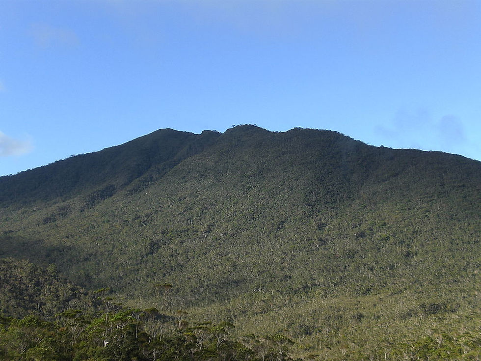 Mount Hamiguitan Peak a green mountain landscape under a clear blue sky, showing dense forest covering the slopes, creating a peaceful and serene atmosphere.