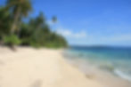 Tropical beach with palm trees, clear blue sky, and people swimming in the ocean. Sandy shoreline and vibrant green foliage create a serene mood.