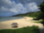 Beach scene with a thatched hut on golden sand, lush greenery, and blue sky with clouds. Calm ocean waves and distant hills set a serene mood.