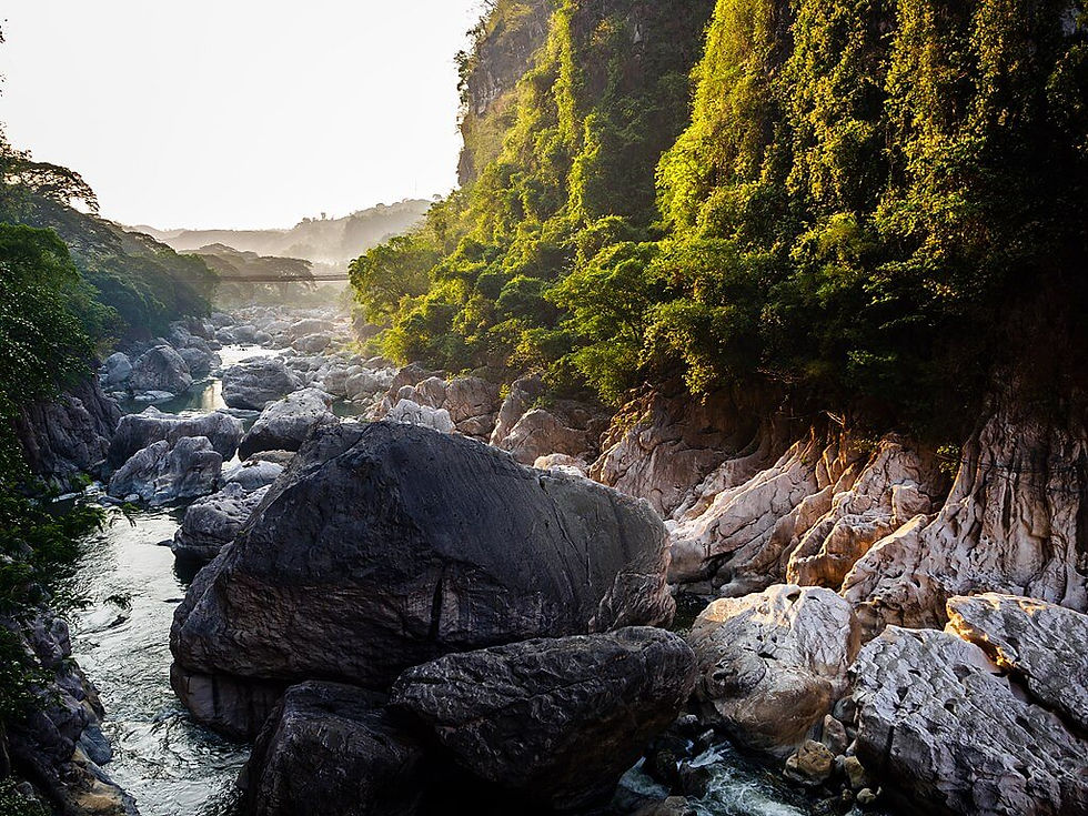 Marikina River with large boulders flows through a green gorge. Sunlight casts warm glow on foliage and rocks. A bridge is visible in the distance.