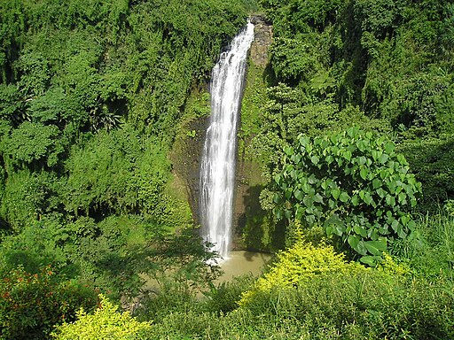 Tall waterfall cascading down a lush green cliff surrounded by dense foliage and vibrant plants, creating a serene and tranquil scene.