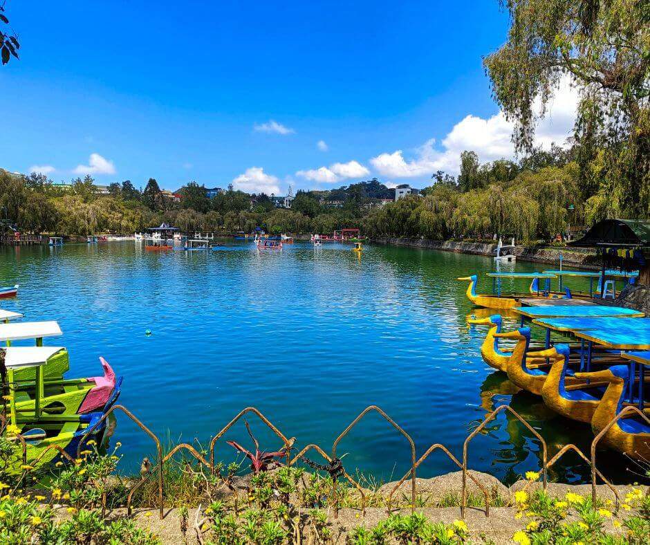 Colorful swan boats docked by a tranquil lake with people boating in the distance. Lush trees surround the water under a bright blue sky.