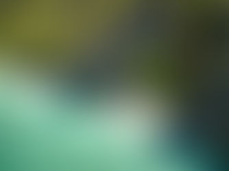 A boat floats on clear turquoise water near a lush, rocky shore with palm trees and a small sandy beach. The scene is serene and tropical.