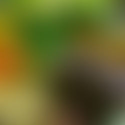 A vibrant display of fresh vegetables, including eggplants, carrots, and cucumbers, with colorful tomatoes and garlic in a market setting.