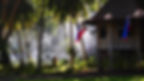 Thatched hut in lush, misty forest with Philippine flags. Sunlight filters through trees, casting a serene, tropical ambiance.