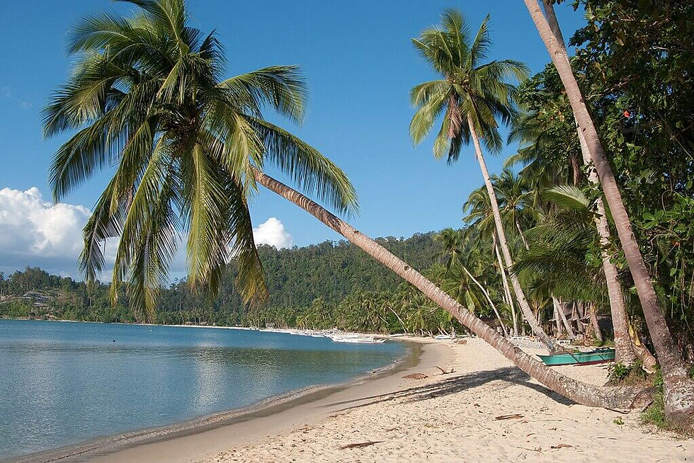 Tropical beach with leaning palm trees, sandy shore, and clear blue sky. Calm sea and lush green hills in the background. Peaceful vibe in San Vicente, Palawan.