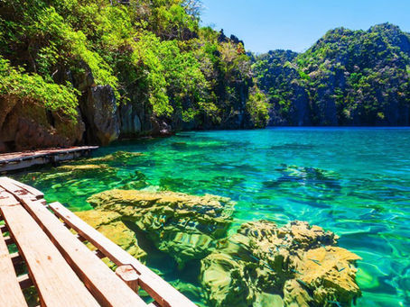 Barracuda Lake, Coron