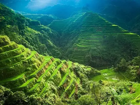 Banawe Rice Terrace, lush green terraced hills under a bright sky. Sunlight highlights the layers, creating a serene and vibrant atmosphere. No text present.