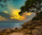 Looking at a brown rocky beach with a tree in a golden sunset.