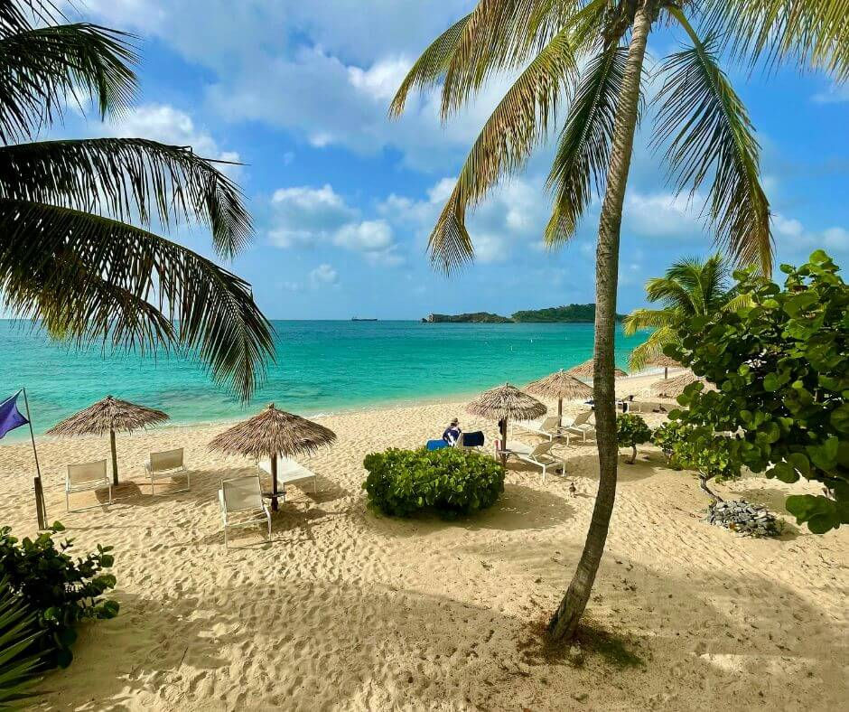 Tropical beach scene with palm trees, blue ocean, and clear sky. Empty loungers under straw umbrellas on sandy shore; relaxed, serene mood.