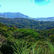 Aurora Memorial National Park a lush green forest with grassy foreground and distant blue mountains under a clear sky. Vibrant and serene panoramic view.