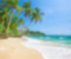 Tropical beach scene with palm trees bending over golden sand. Waves gently hit the shore under a clear blue sky, creating a serene mood.